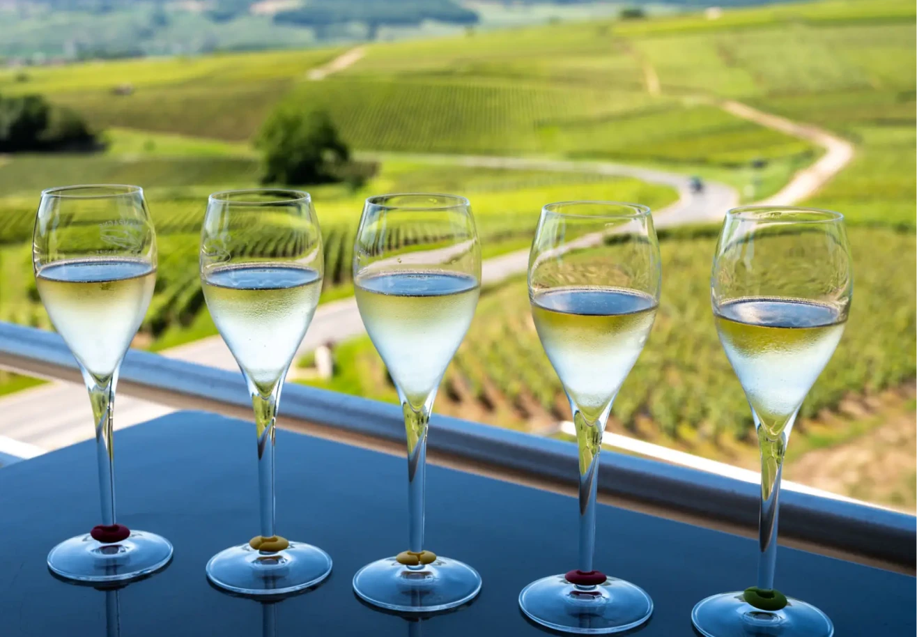 Champagne glasses with vineyard view